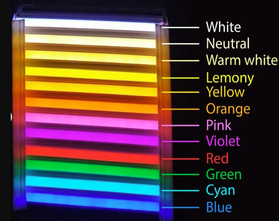 Neon Signs Pre-Made & Custom orders (OPEN)
