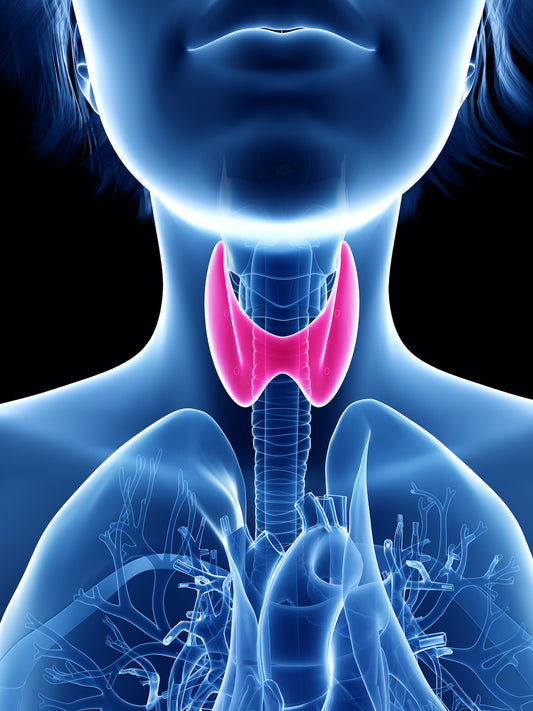 Ultimate E-Course on Hyperthyroidism-RetailXcess Digital