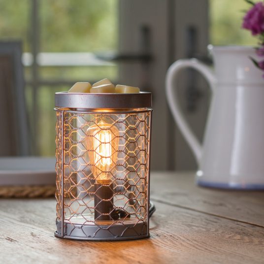 Chicken Wire Vintage Bulb Illumination Fragrance Warmer