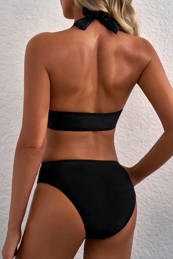 black sheer mesh edged halter v neck push up bikini