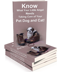 Know What Your Little Angel Needs — Taking Care of Your Pet Dog & Cat (Digital Guide)