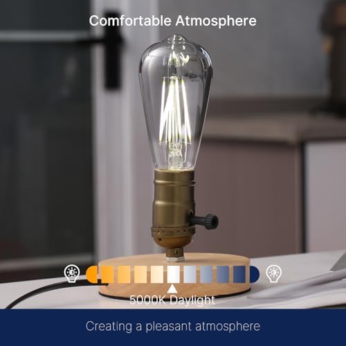 FLSNT LED Edison Bulbs, 5000K White Light Dimmable ST19 LED Light Bulbs, E26 Base,4W(40W Equivalent), CRI82+, 150LM, 6 Pack, Smoky Grey Glass - - Image 5