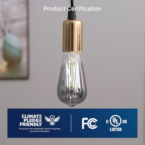 FLSNT LED Edison Bulbs, 5000K White Light Dimmable ST19 LED Light Bulbs, E26 Base,4W(40W Equivalent), CRI82+, 150LM, 6 Pack, Smoky Grey Glass - - Image 4