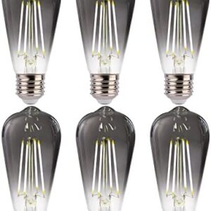 FLSNT LED Edison Bulbs, 5000K White Light Dimmable ST19 LED Light Bulbs, E26 Base,4W(40W Equivalent), CRI82+, 150LM, 6 Pack, Smoky Grey Glass -