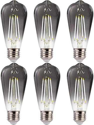 FLSNT LED Edison Bulbs, 5000K White Light Dimmable ST19 LED Light Bulbs, E26 Base,4W(40W Equivalent), CRI82+, 150LM, 6 Pack, Smoky Grey Glass -