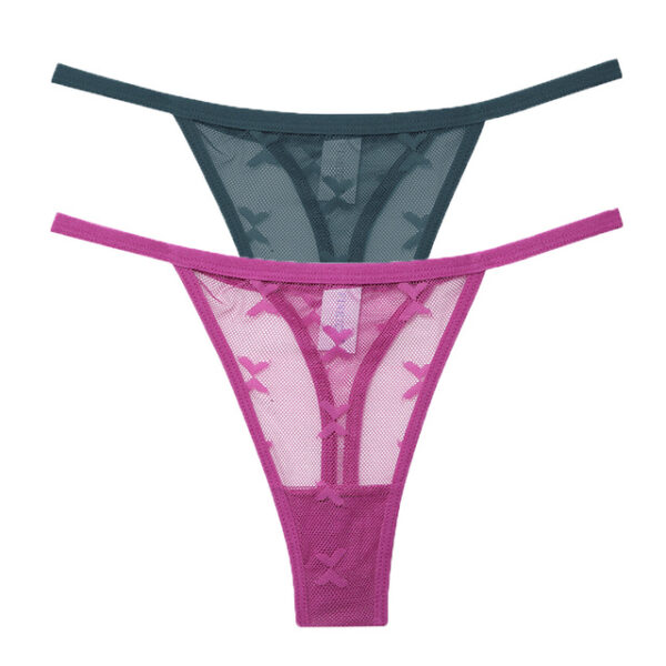 Mesh G-String Women's Panties Transparent Underwear - Image 3