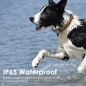 Waterproof Pet Collar