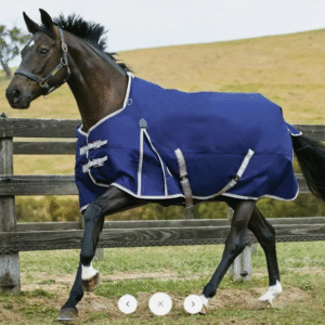 Weatherbeeta Comfitec Essential Standard Neck Turnout Blanket (220g Medium)