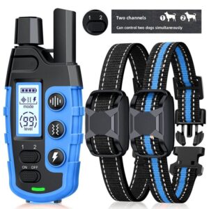 Remote control dog training artifact