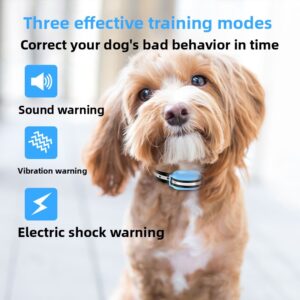 Remote Control Dog Trainer