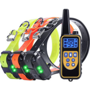 Dog Trainer Training Collar
