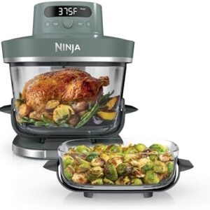 Ninja Crispi Pro 6-in-1 Glass Air Fryer | 450°F, Nontoxic, 6qt & 2.5qt Containers & Lids | Microwave, Freezer, Dishwasher Safe | Max Crisp, Air Fry, Bake, Roast, Recrisp, Dehydrate | Ash Grey, AS101DG : Home & Kitchen