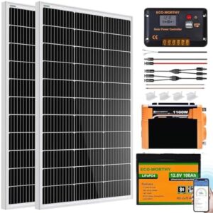 ECO-WORTHY 200 Watt 12V Complete Solar Panel Starter Kit for RV Off Grid with Battery and Inverter: 2pcs 100W Solar Panel + 30A Charge Controller + 100Ah Lithium Battery + 1100W Premium Solar Inverter : Patio, Lawn & Garden