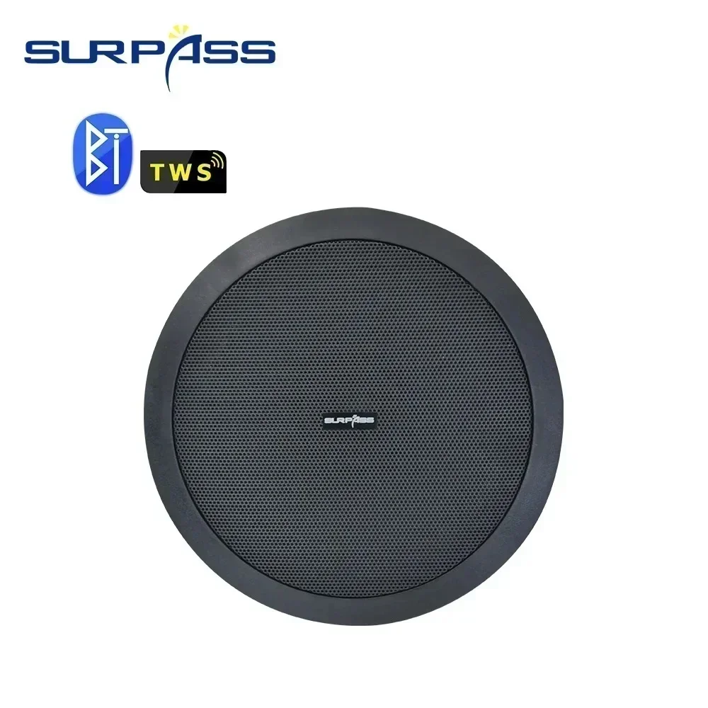 5.25 Inch audience 10W Bluetooth Ceiling speakers Built In Digital Class D Amplifier Bluetooth speaker for Indoor Outdoor Camper - Image 11
