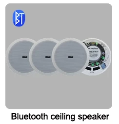 Built-in Class-D Amplifier Full Range Bluetooth-compatible Ceiling Speaker Horn For Home Theater Background Music Good Quality - Image 27
